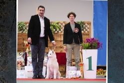 Jasper krajowa Zakrzów 12.04.2026